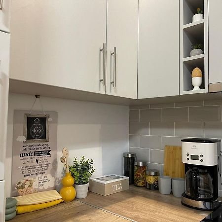 Nova Lake Apartamente Wild Jungle Σάτου Μάρε Εξωτερικό φωτογραφία